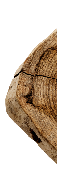 Holzstamm Schritt 1 — Beratung