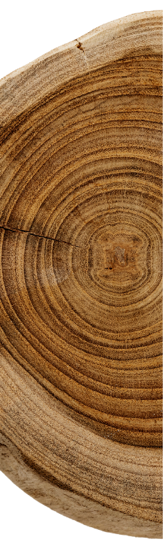 Holzstamm Schritt 2 — Planung