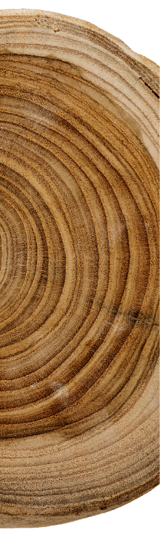 Holzstamm Schritt 3 — Konzeption