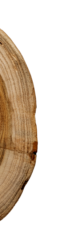 Holzstamm Schritt 4 — Umsetzung